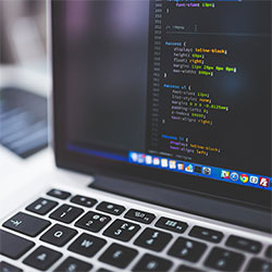 圈内人在中午时分遭遇丑闻 爆红网络，樱花视频全网炸锅，详情了解