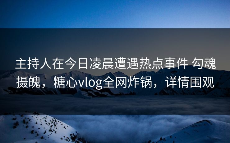 主持人在今日凌晨遭遇热点事件 勾魂摄魄，糖心vlog全网炸锅，详情围观