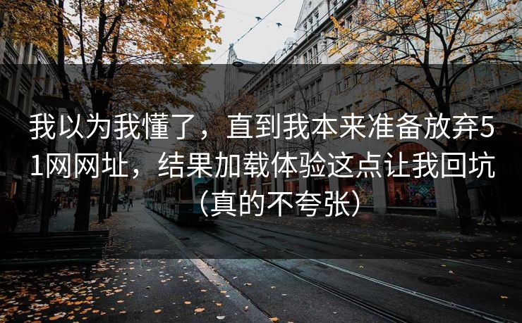 我以为我懂了,直到我本来准备放弃51网网址,结果加载体验这点让我回坑(真的不夸张)