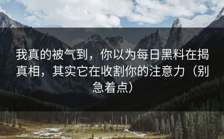 我真的被气到,你以为每日黑料在揭真相,其实它在收割你的注意力(别急着点)